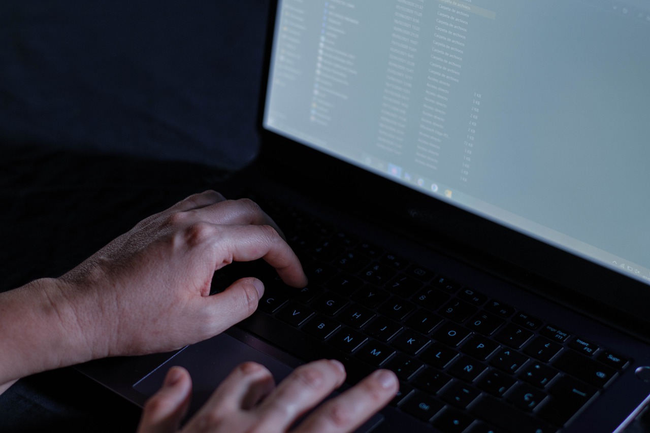 Laptop Keyboard Typing Computer  - ildelinares / Pixabay