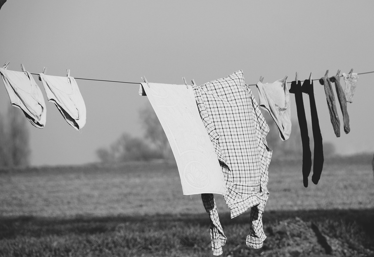 Laundry Clothesline - Janvanbizar / Pixabay