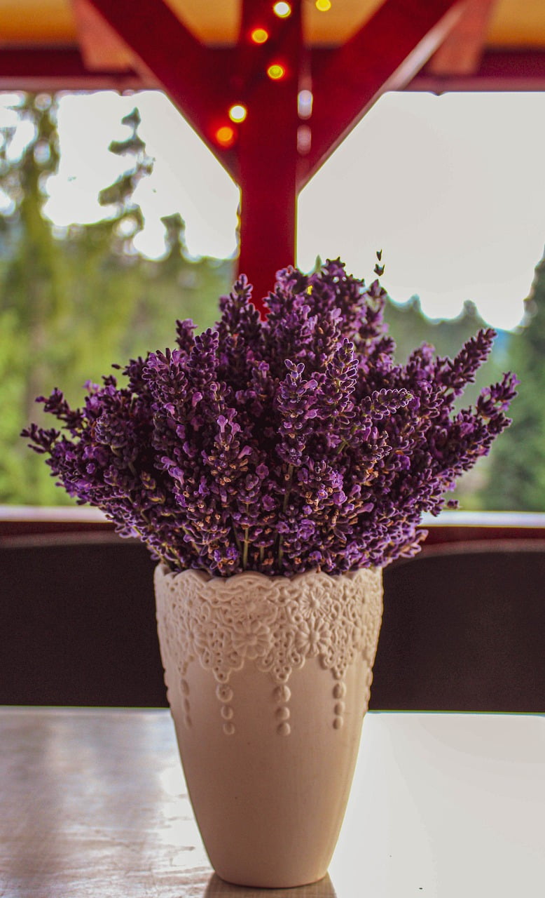 Lavender Bokeh Plant Nature Purple - urirenataadrienn / Pixabay