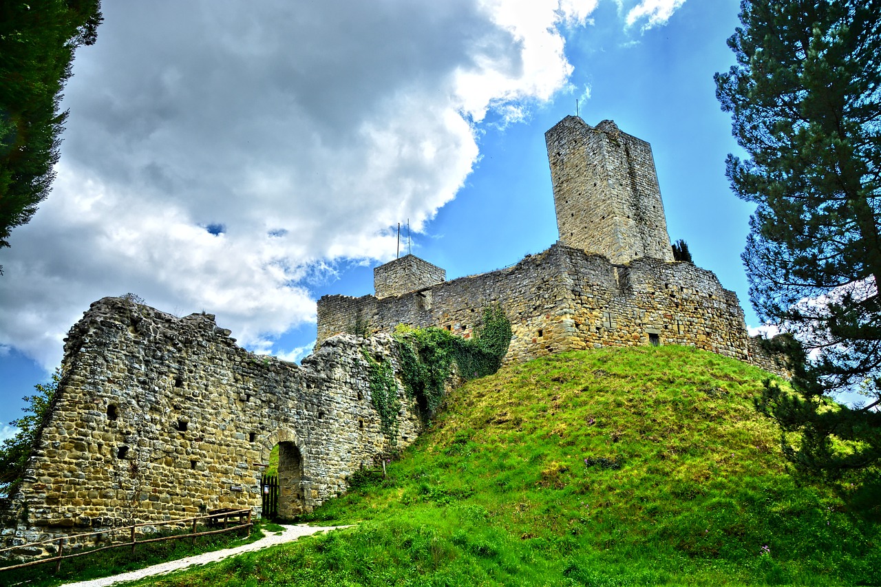 Lawn Romanian Castle Middle Ages - Rangoni-Gianluca / Pixabay