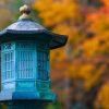 Leaf Japan Culture Kyoto Garden  - VictorNakamura / Pixabay