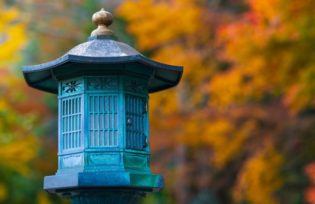 Leaf Japan Culture Kyoto Garden  - VictorNakamura / Pixabay