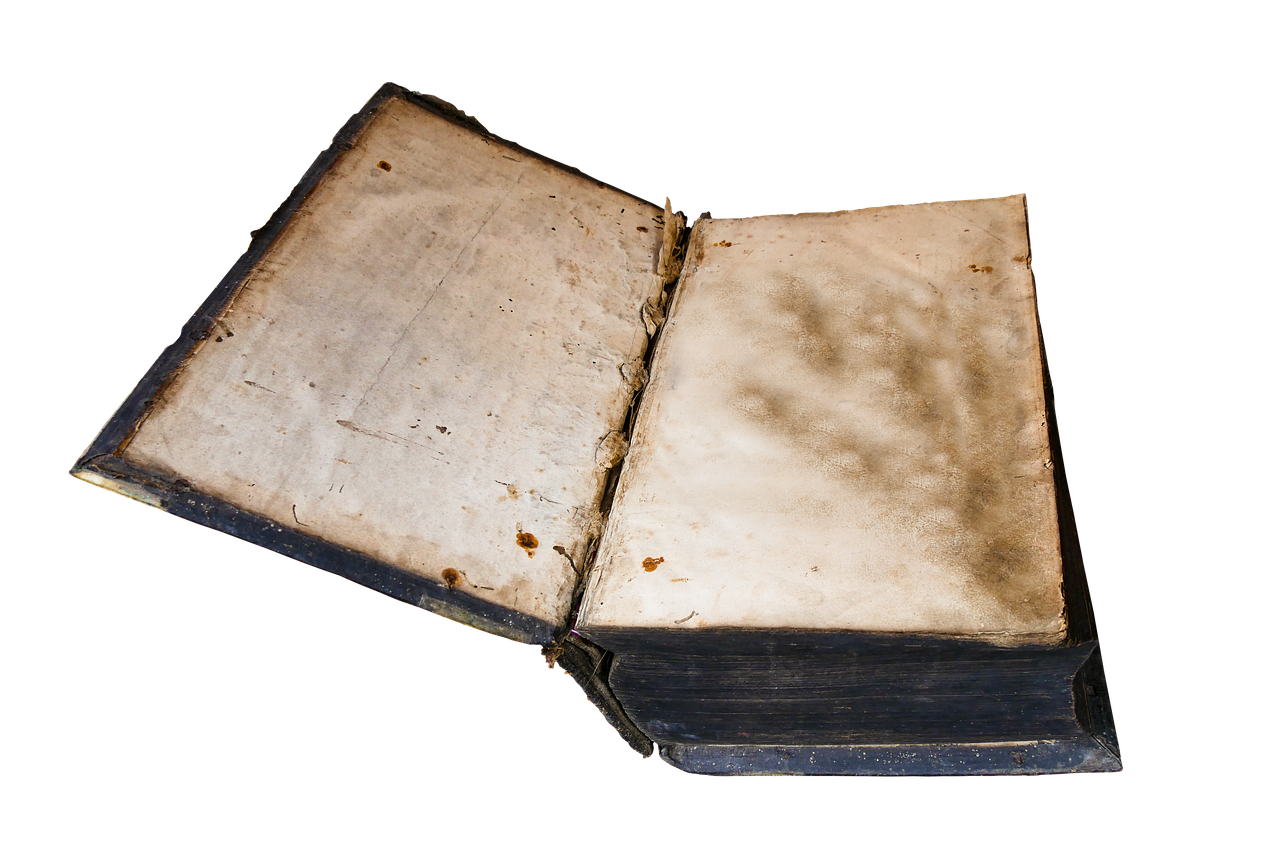 Learn Read Book Literature Old  - blende12 / Pixabay