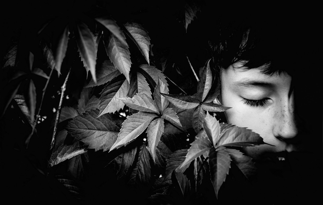Leaves Boy Portrait Monochrome  - Victoria_Borodinova / Pixabay