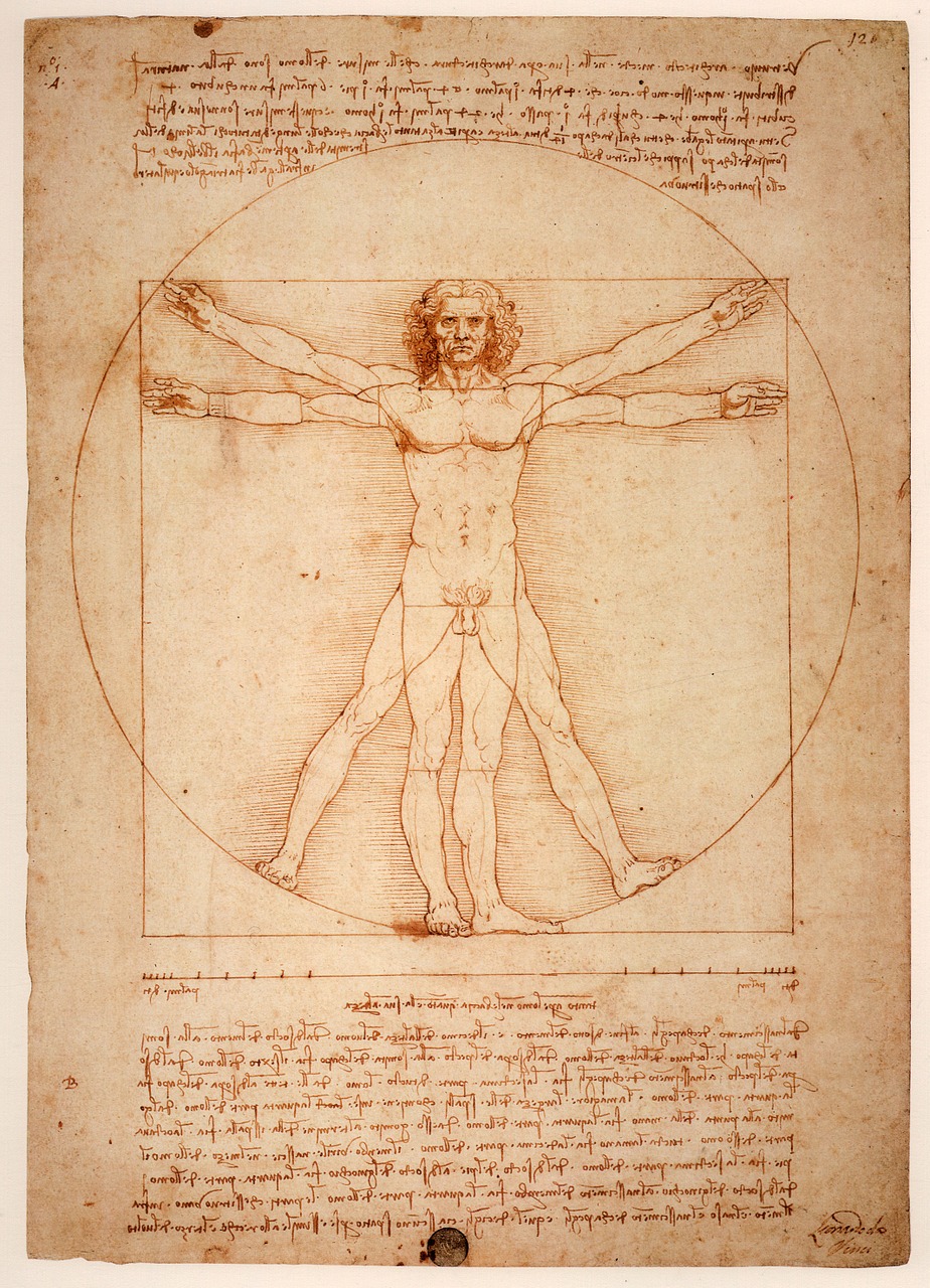Leonardo Da Vinci The Vitruvian Man  - janeb13 / Pixabay