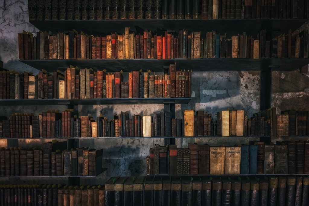 Library Books Bookshelf Vintage  - Tama66 / Pixabay