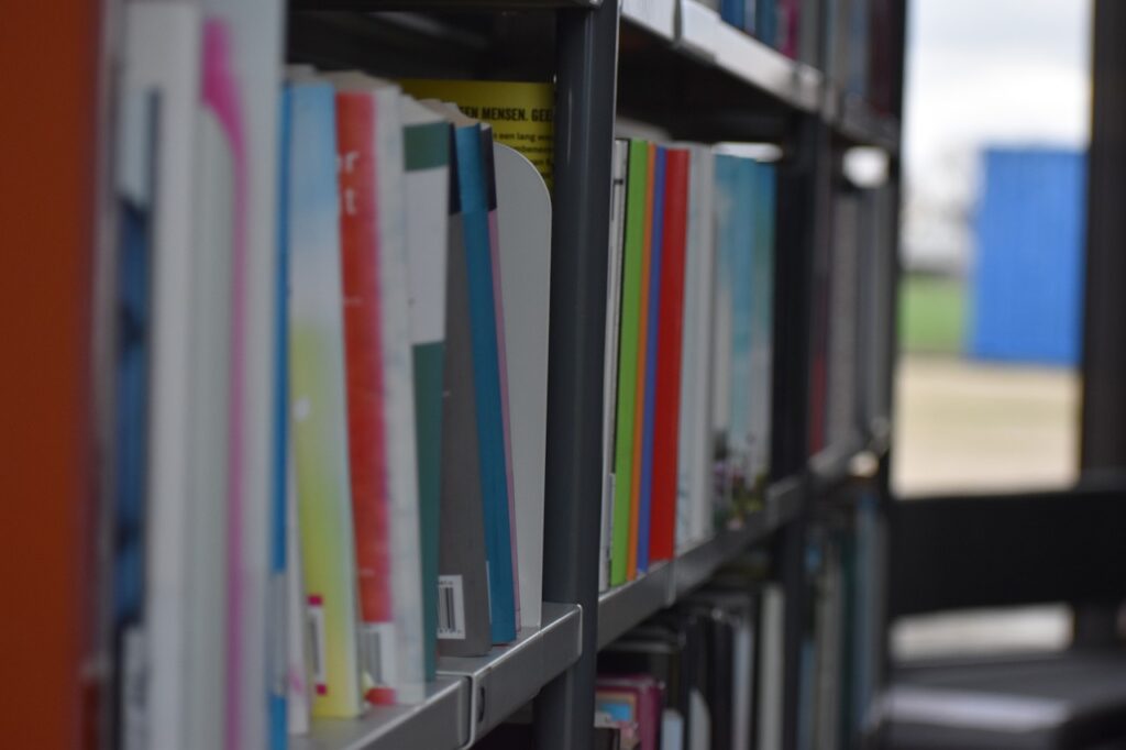 Library Books Bookshelves Bookcases  - misskodak / Pixabay