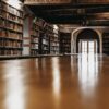 Library Books Knowledge Literature  - Abbeylein / Pixabay