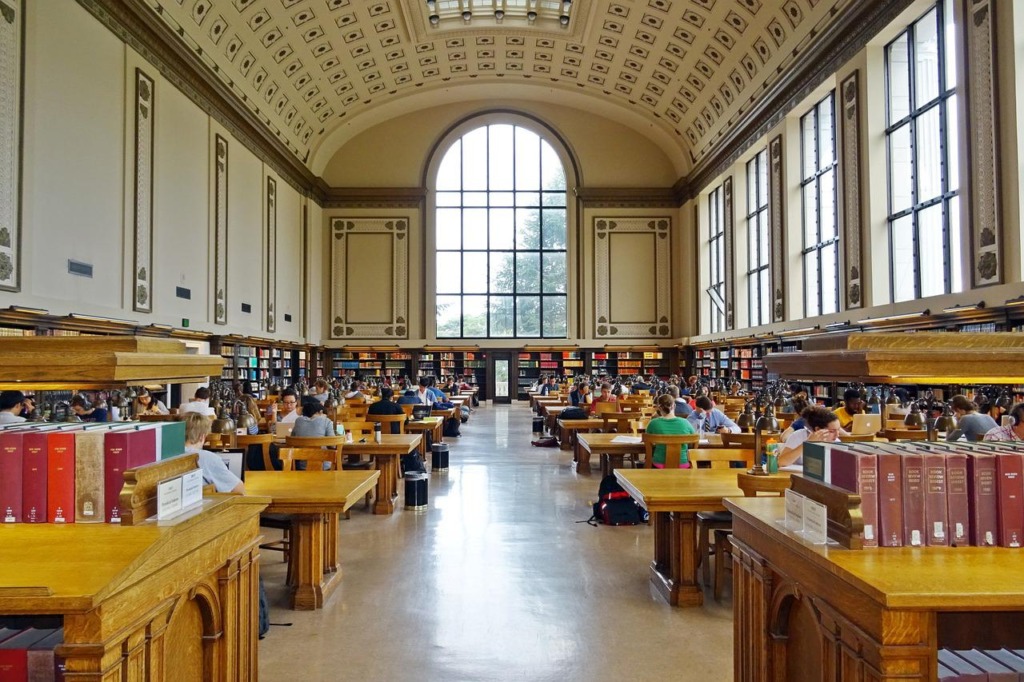 Library Hall Interior University  - sarangib / Pixabay