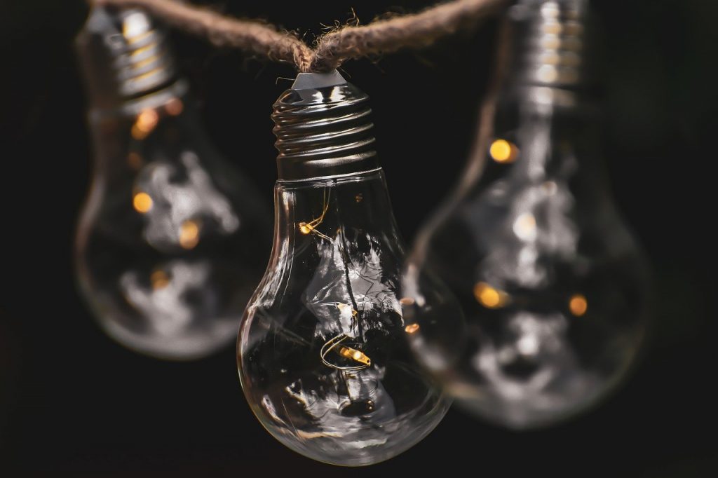 Light Bulb Energy Nature  - Alexas_Fotos / Pixabay