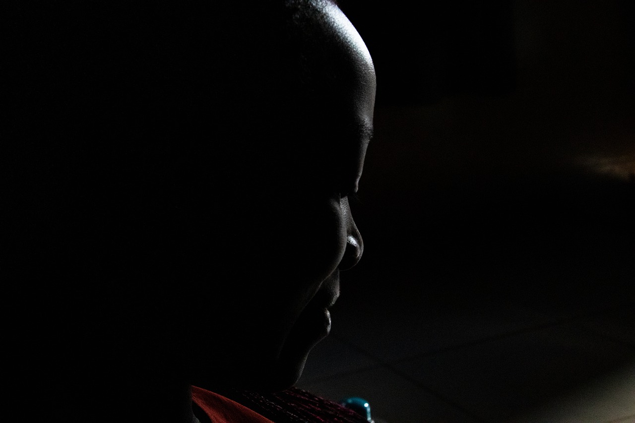 Light Skinned Dark Women Shines  - TOMCHIPONGE / Pixabay