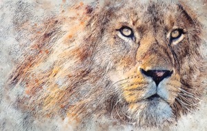 Lion Animal Cat Feline Dangerous  - ArtTower / Pixabay