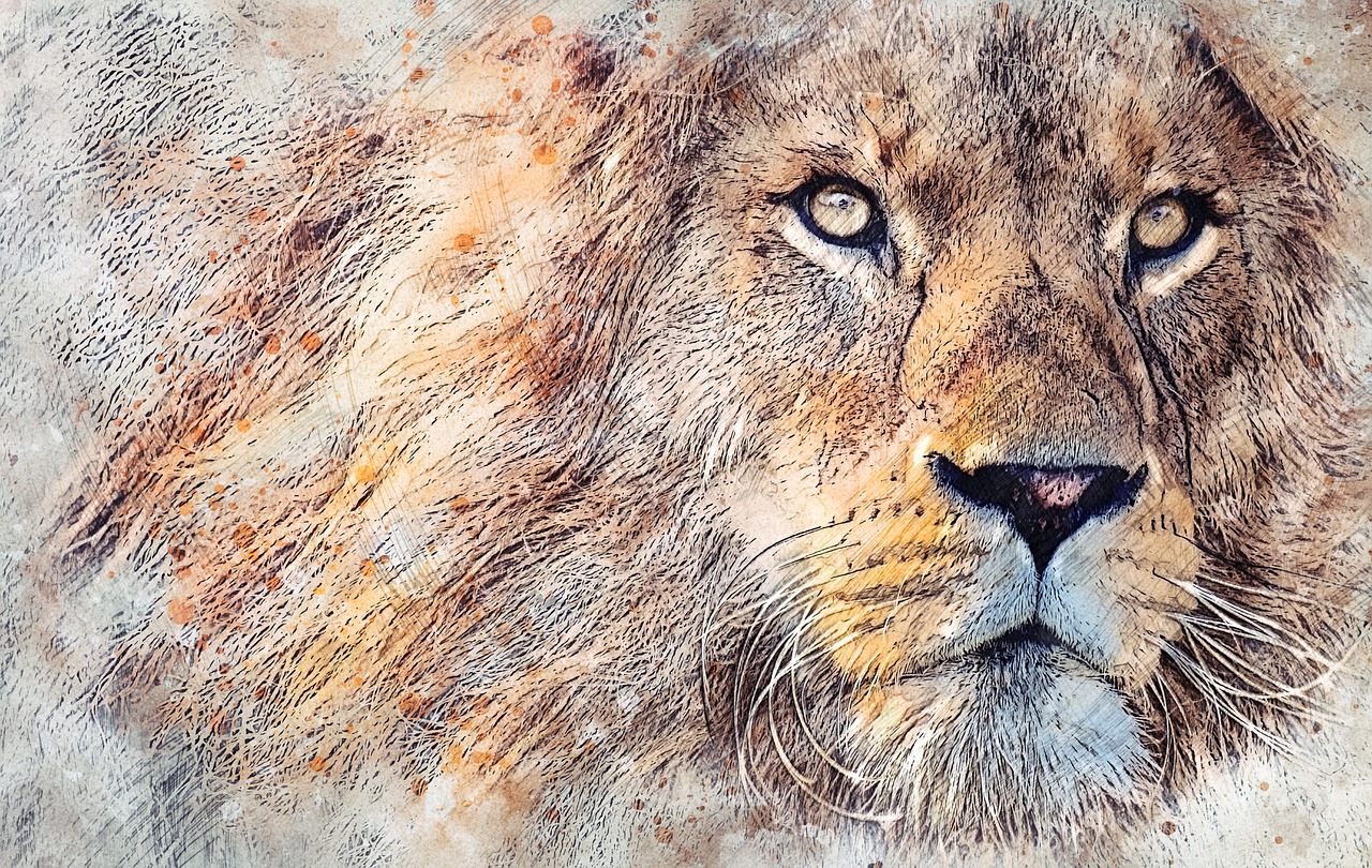 Lion Animal Cat Feline Dangerous  - ArtTower / Pixabay