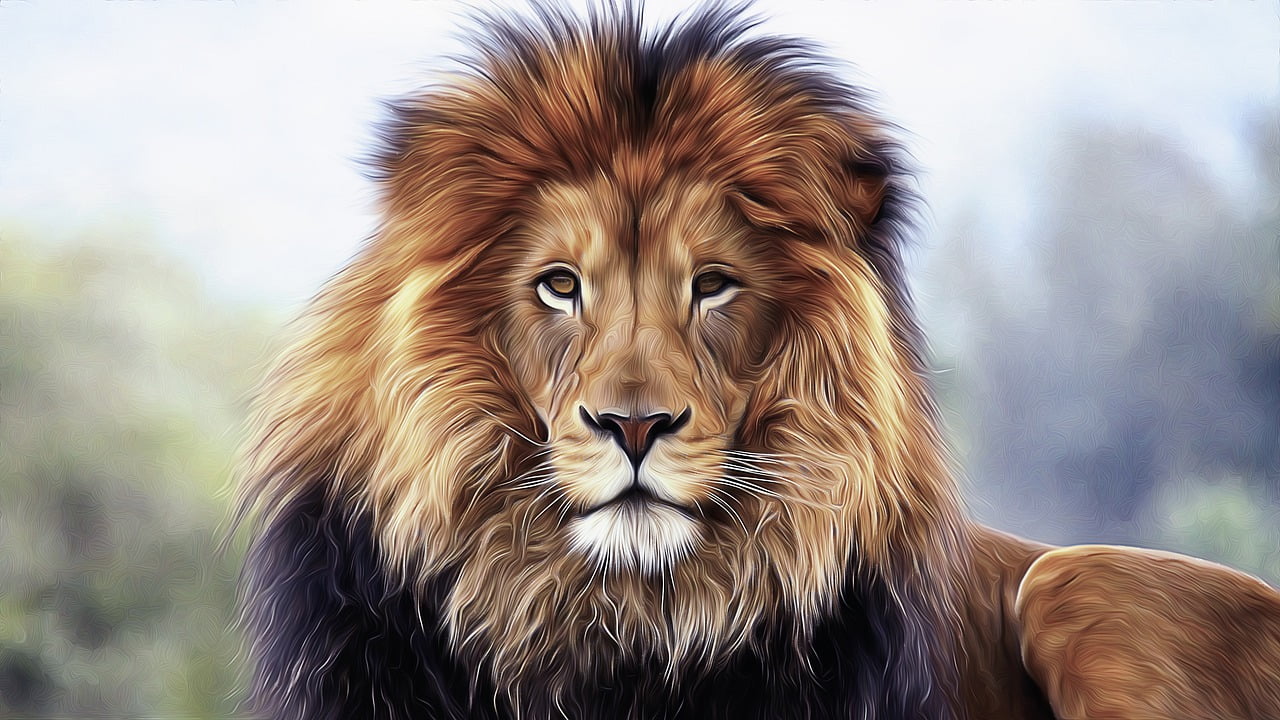 Lion King Animal Predator Africa  - ArtTower / Pixabay