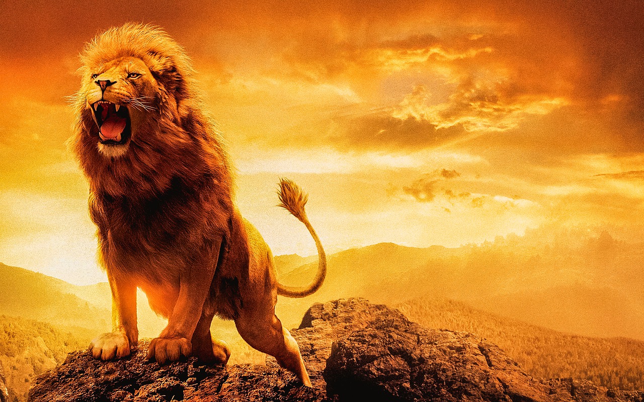 Lion Male Lion Female Lion  - Denexbro / Pixabay
