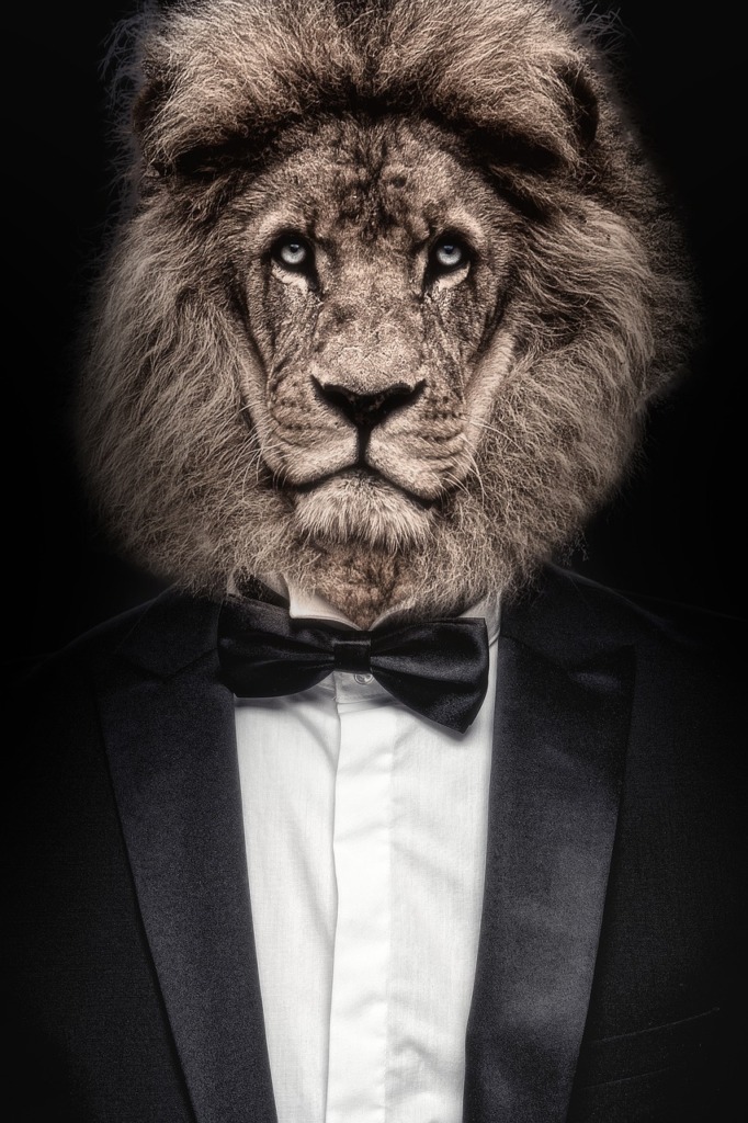 Lion Man Businessman Portrait Suit  - Sammy-Sander / Pixabay