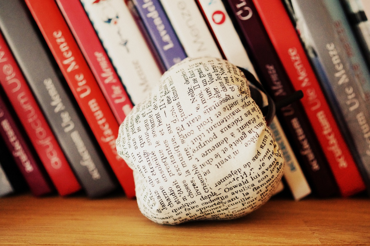 Literature Fiction Books Read  - MIH83 / Pixabay