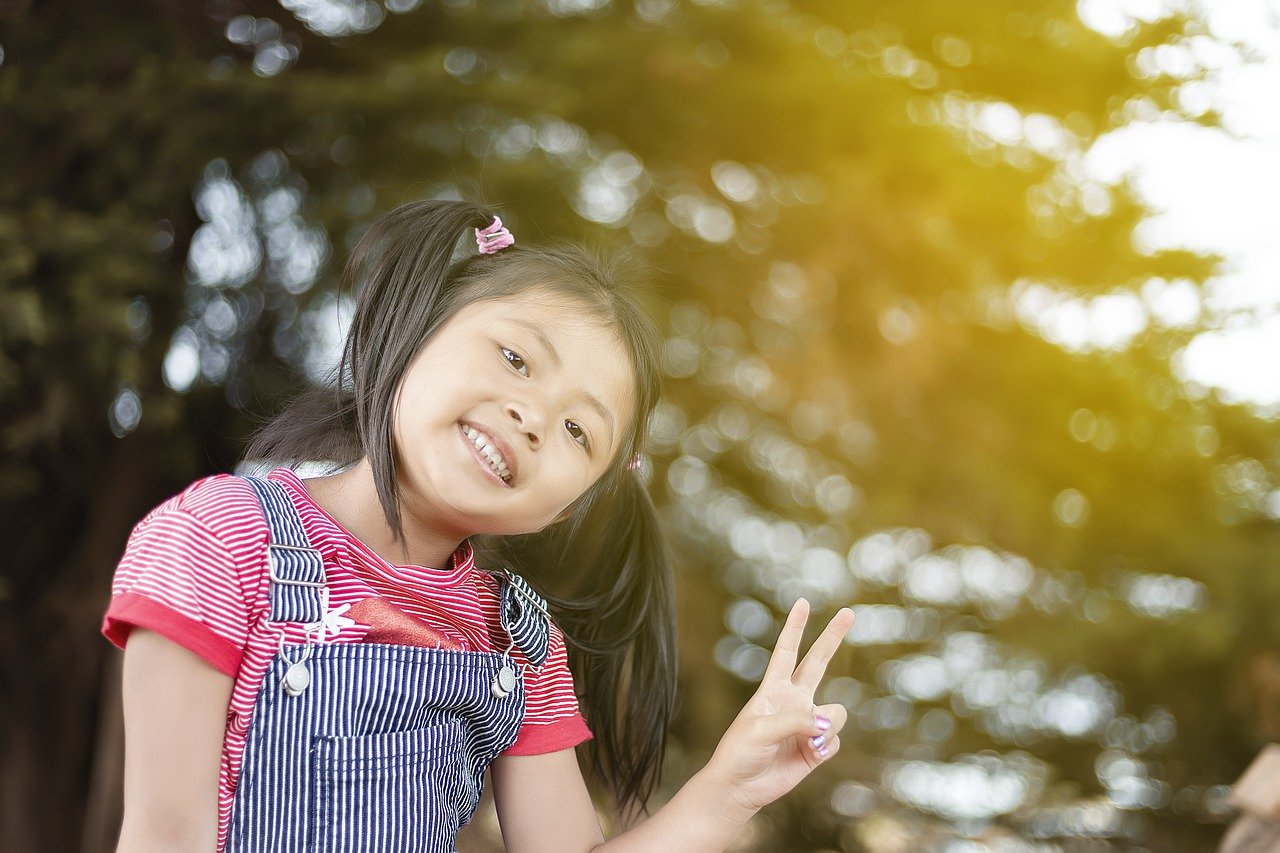 Little Girl Child Pigtails - chhouknet / Pixabay