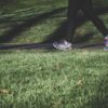 shallow focus photography of person walking on road between grass