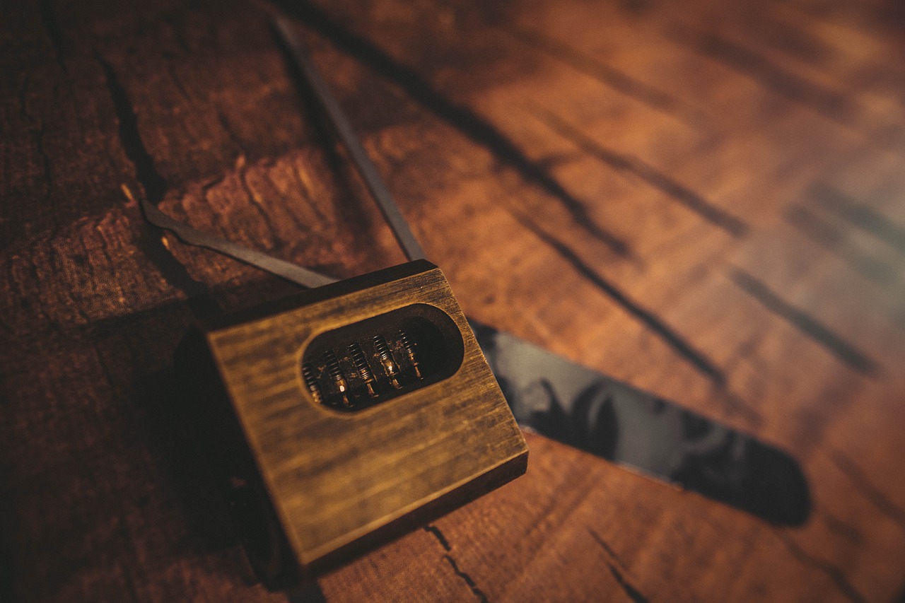 Lockpick Robbery Thief Robber  - MikeWildadventure / Pixabay