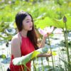 Lotus Yem Woman Fashion Beauty  - NCB19 / Pixabay