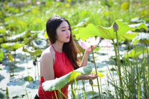 Lotus Yem Woman Fashion Beauty  - NCB19 / Pixabay