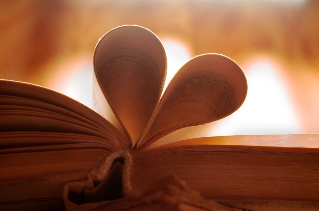 Love Book Reading Love Of Reading  - svecaleksandr249 / Pixabay