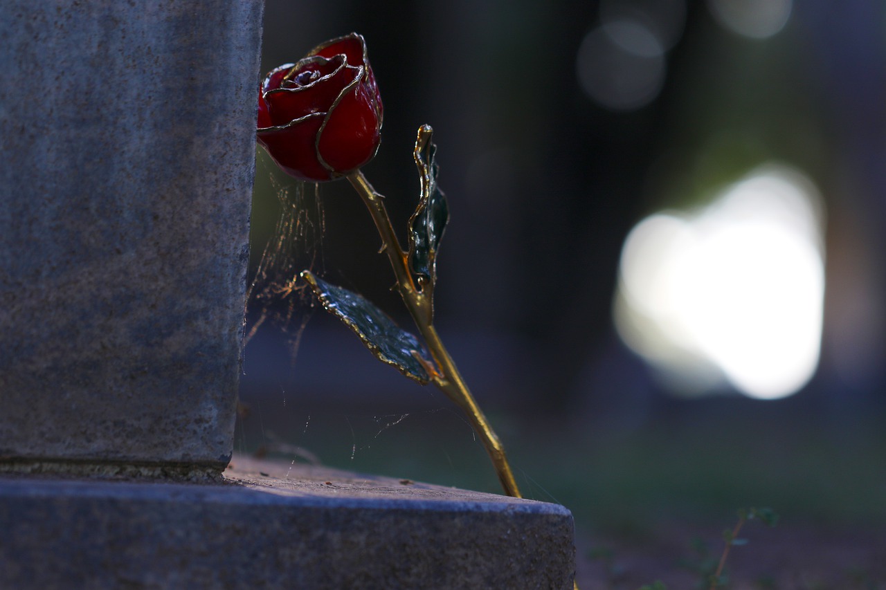 Love Gold Rose Cemetery Grave Dead  - DtheDelinquent / Pixabay