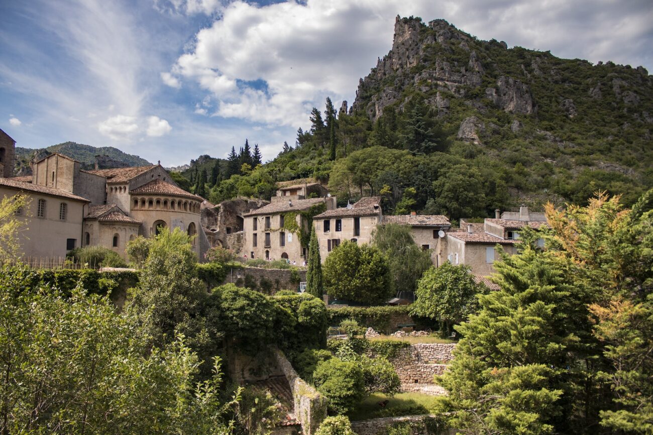 brown concrete houses with green leafed trees at daytime