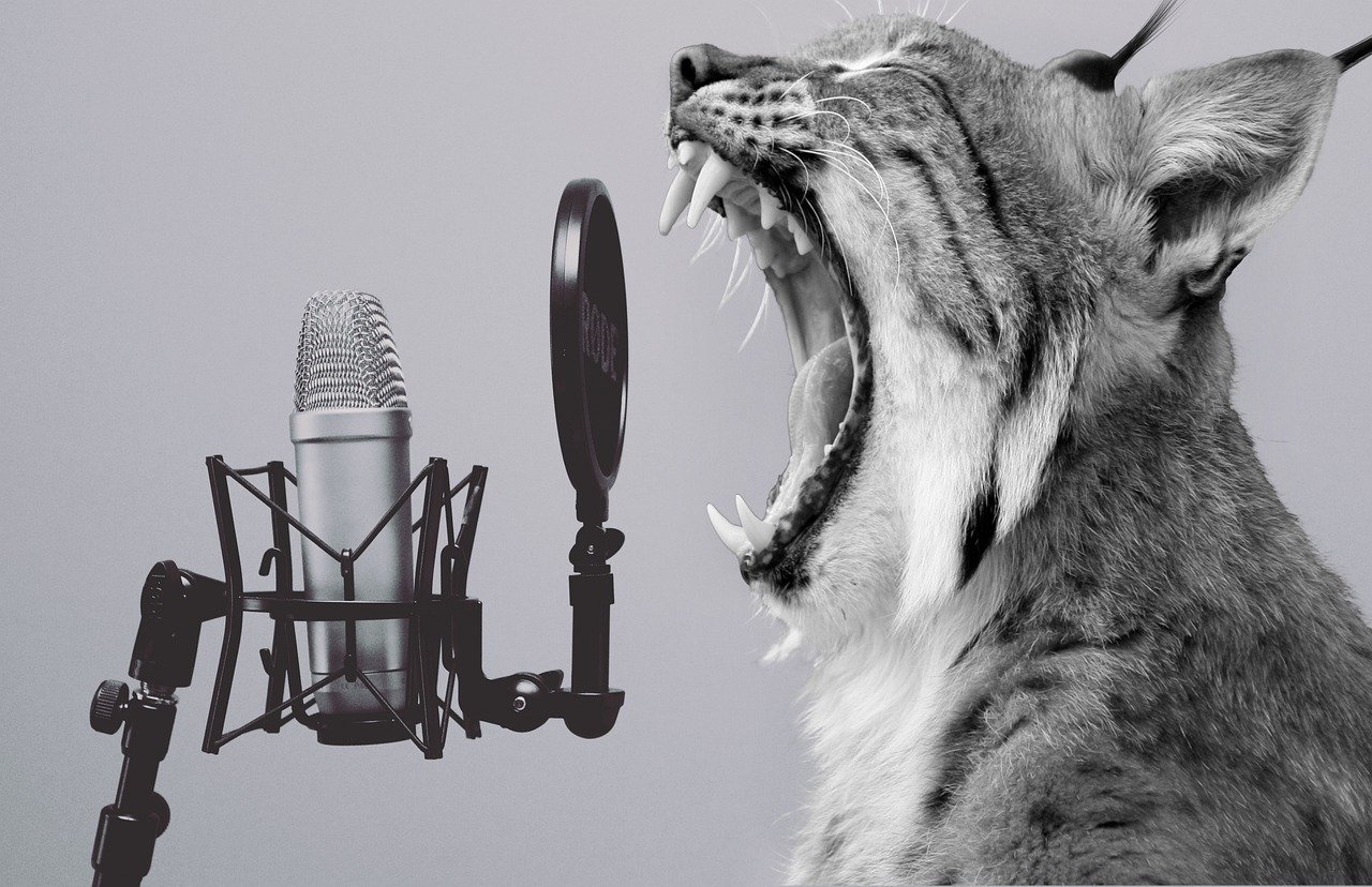 Lynx Animal Microphone Funny Yell  - flutie8211 / Pixabay