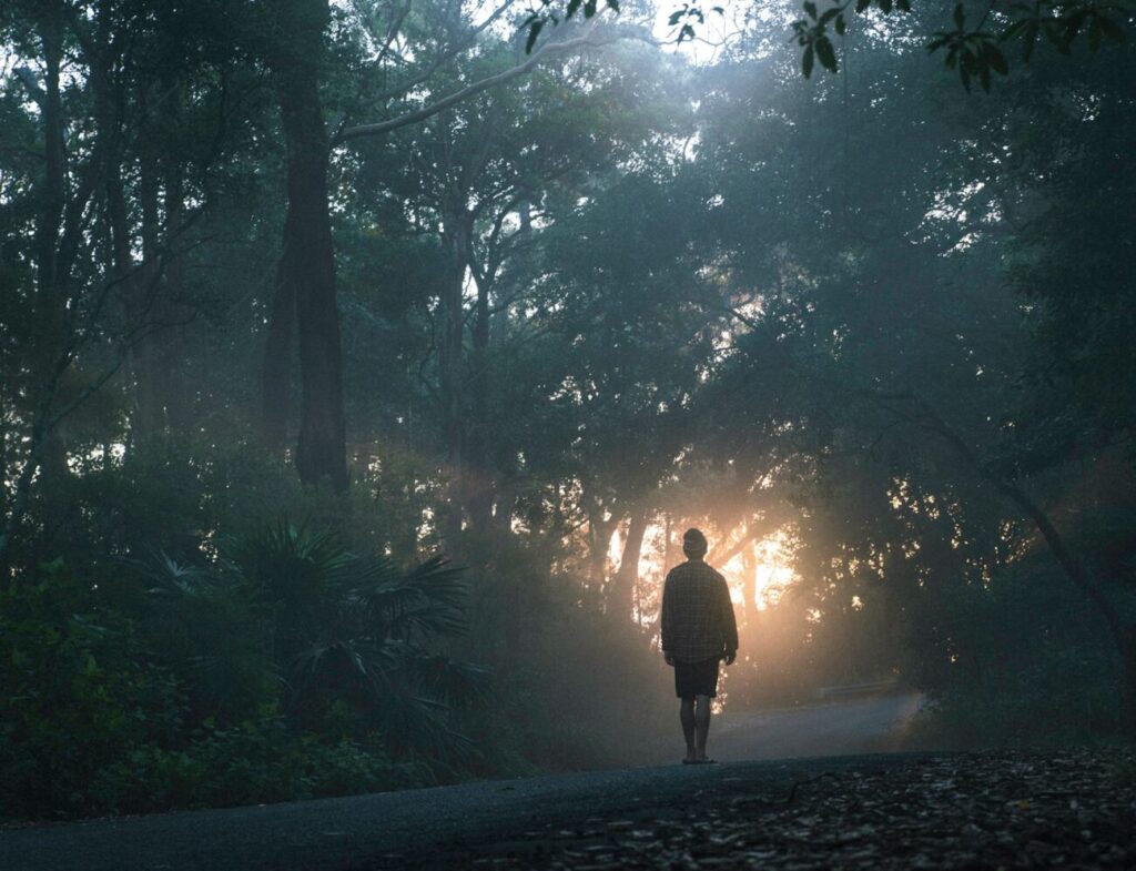 person walking on street between forest