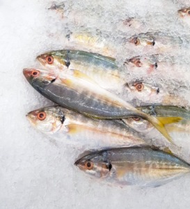Mackerel Fish Ice Seafood Market  - kengkreingkrai / Pixabay