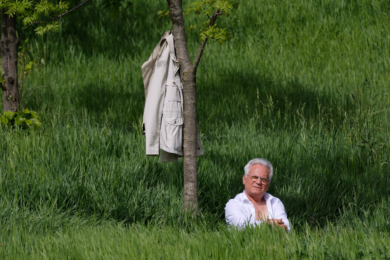 Male Elderly Care Grass Naturally  - icsilviu / Pixabay