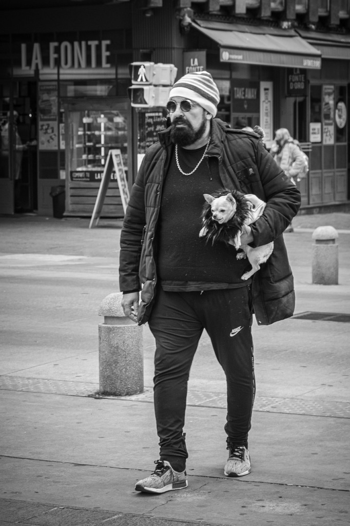 Man Beard Dog Urban City  - Mampu / Pixabay