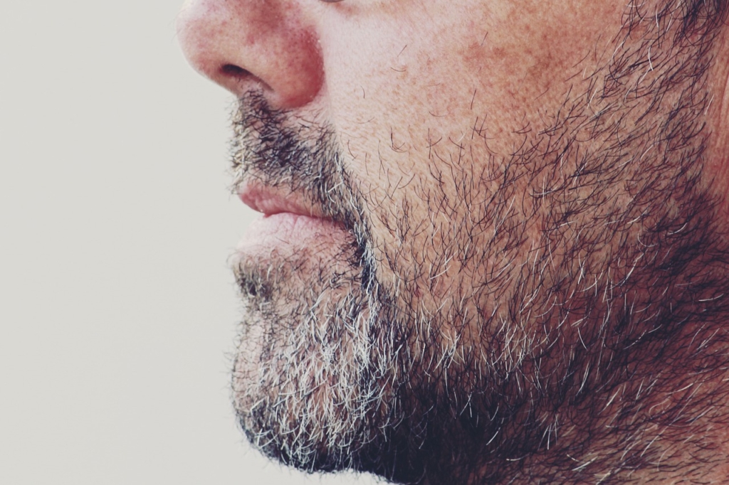 Man Beard Masculine Facial Hair  - TanteTati / Pixabay