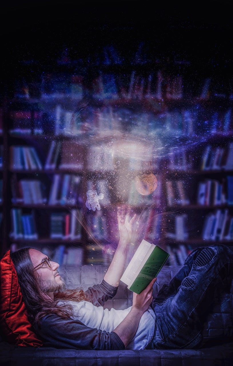 Man Book Library Bookshelves Frost  - Maddin_1983 / Pixabay