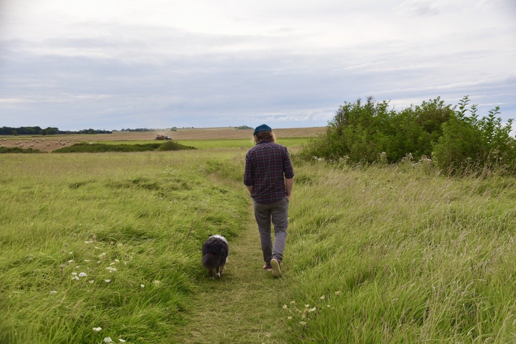 Man Dog Walking Shetland Sheepdog  - JACLOU-DL / Pixabay