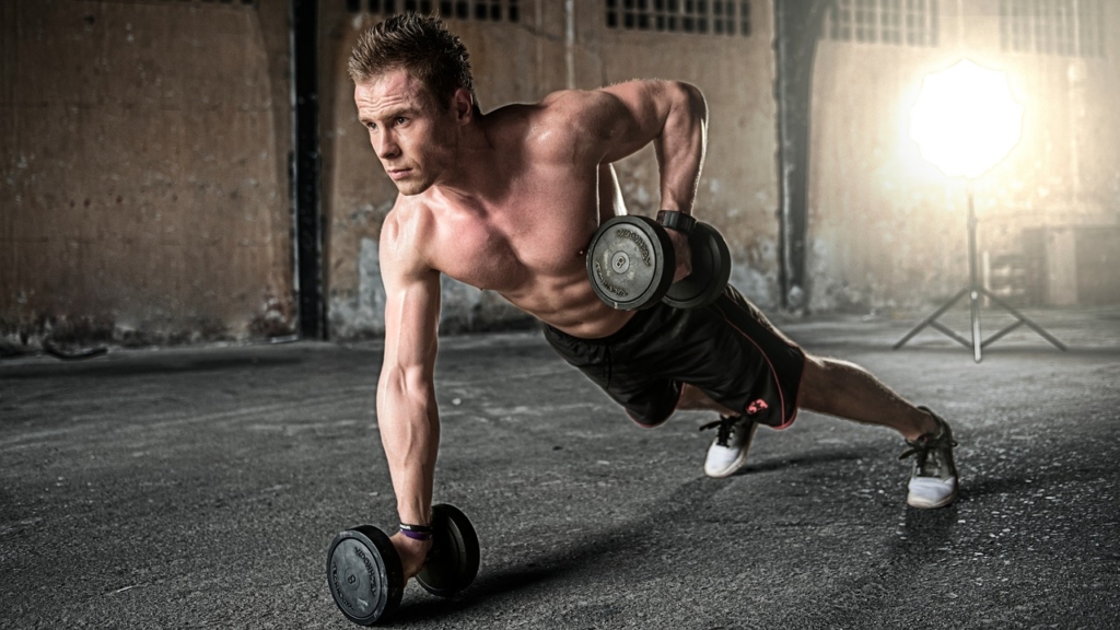 Man Exercise Fitness Gym Dumbbells  - StockSnap / Pixabay