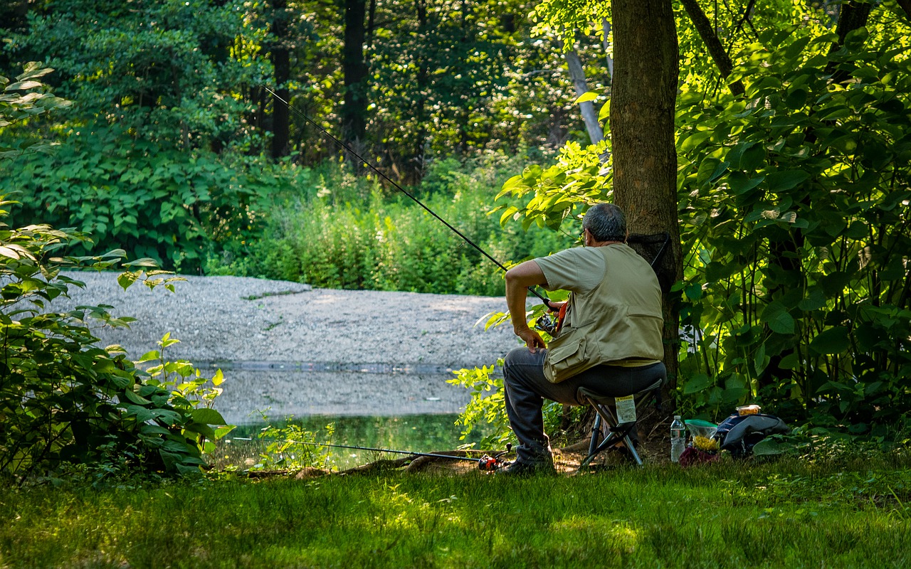 Man Fishing River Tree Grass - SamuelStone / Pixabay