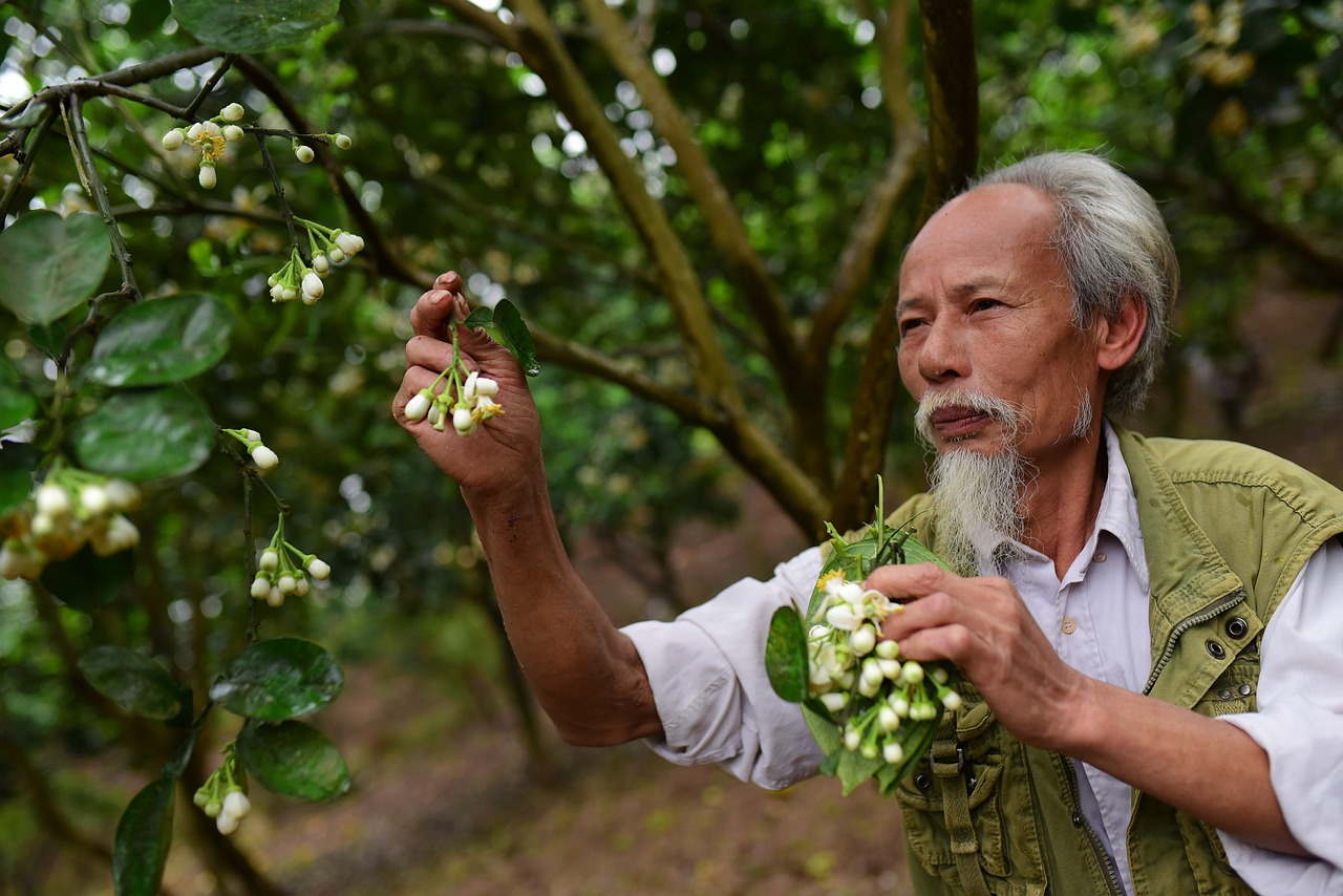 Man Flowers Leaves Foliage Tree - nvtichigo / Pixabay
