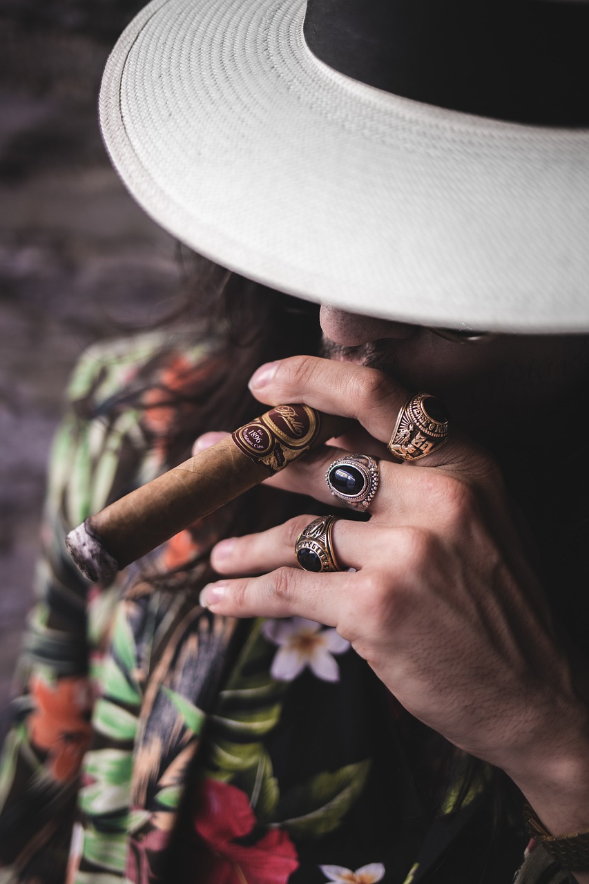 Man Hand Cigar Rings Hat Smoking  - doodleroy / Pixabay