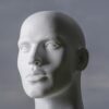 Man Head Face Mannequin Model  - Roentahlenberg / Pixabay