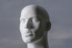 Man Head Face Mannequin Model  - Roentahlenberg / Pixabay