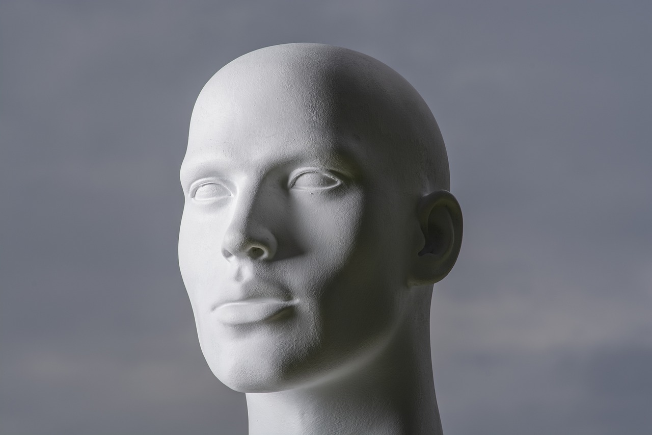 Man Head Face Mannequin Model - Roentahlenberg / Pixabay