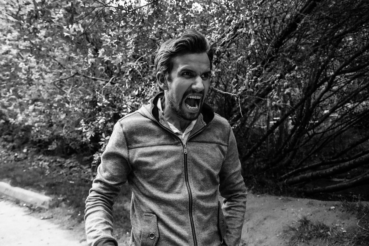 Man Male Angry Face Expression  - Olichel / Pixabay