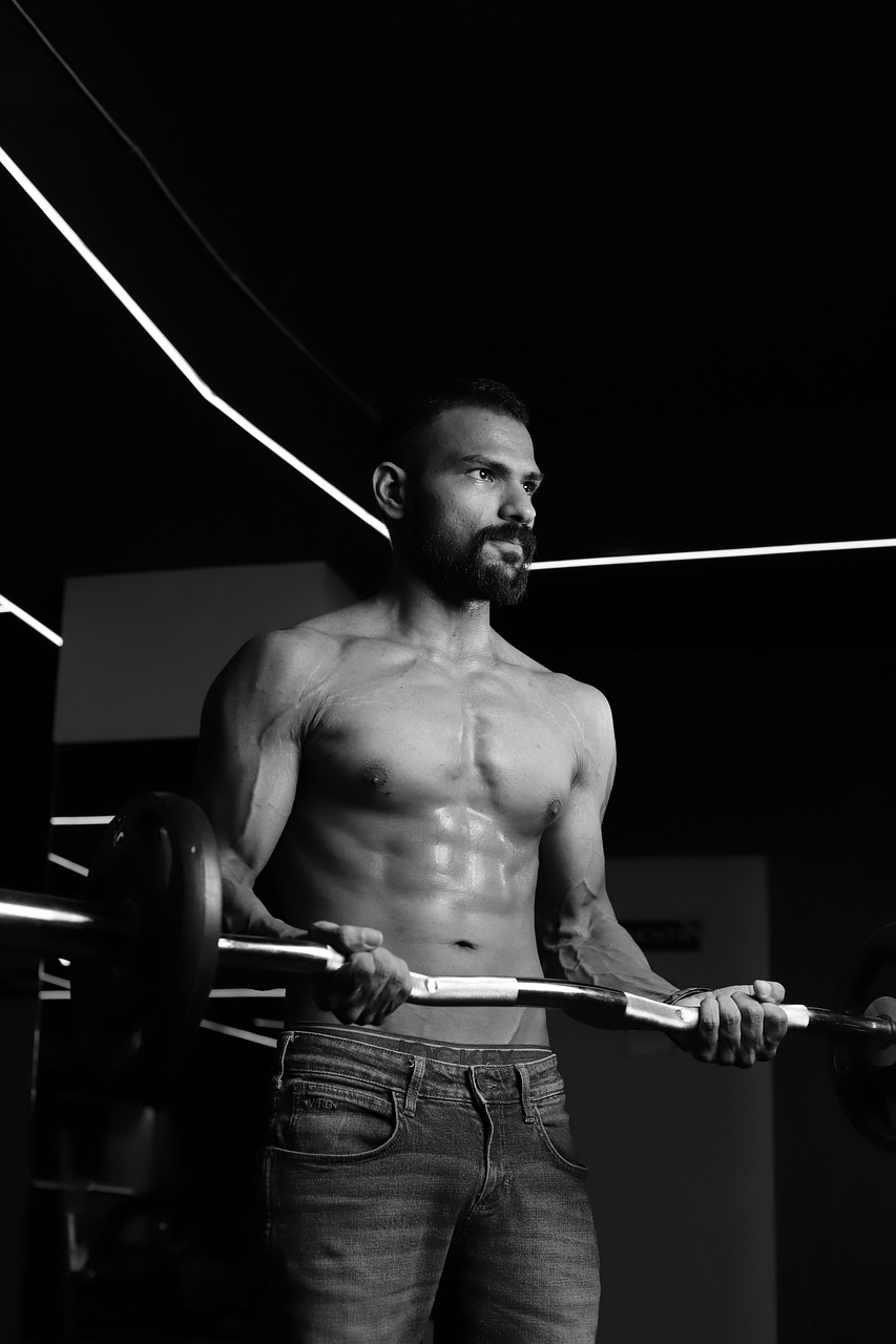 Man Model Portrait Six Packs Abs - Thunderbulll / Pixabay