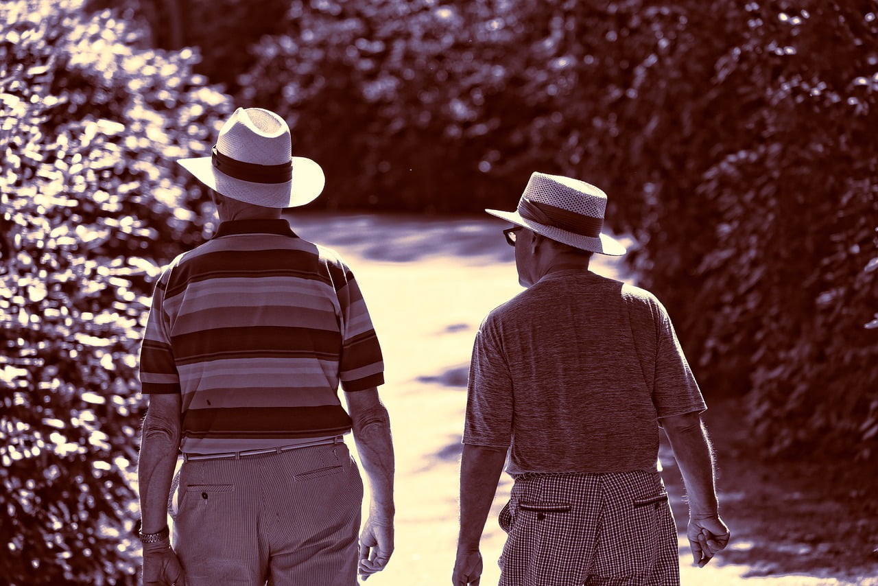 Man Person Two Men Walking Hat  - MabelAmber / Pixabay