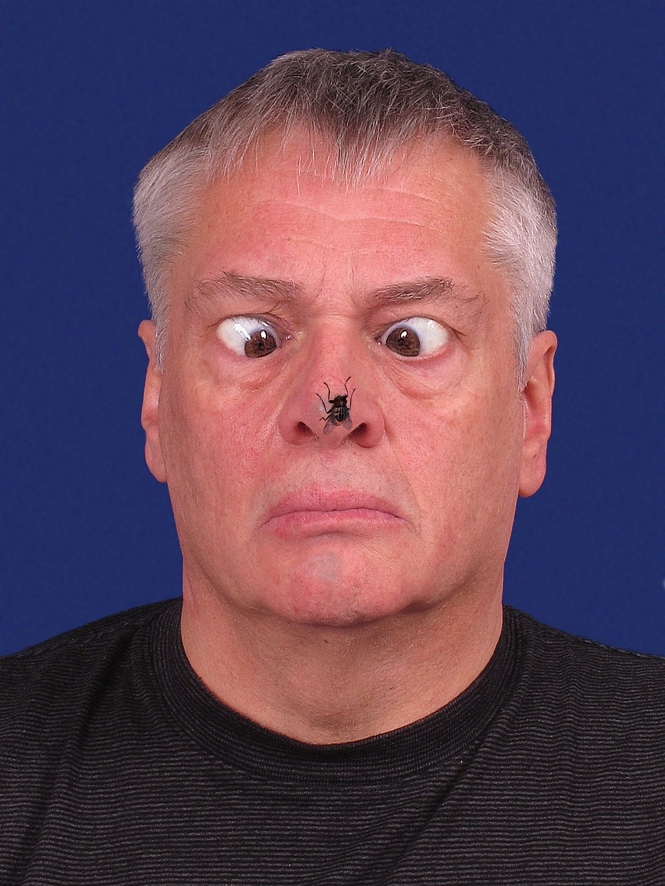 Man Squint Fly Nose Face Annoying  - anaterate / Pixabay