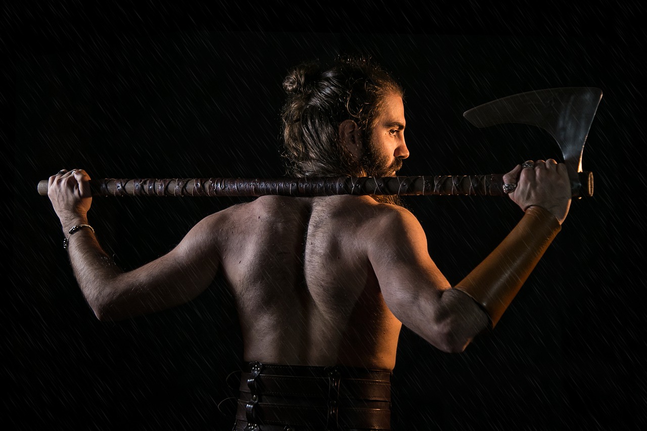 Man Viking Axe Knight Medieval - GioeleFazzeri / Pixabay