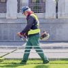 Man Worker Suit Protection Mowing  - icsilviu / Pixabay